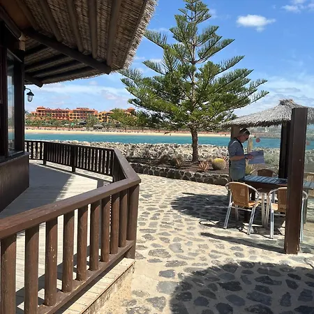 Apartamento Caleta Paraiso 110